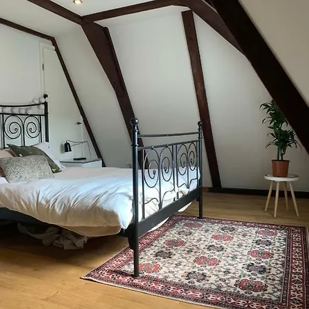 Spacious Loft In City Center